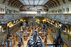 Jardin Des Plantes Museum National D Histoire Naturelle Best Family Vacations Paris Paris Site