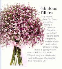 Maybe you would like to learn more about one of these? Pin By Carly Scott Molloy On Pretty In Pink Gypsophila Wedding Bouquet Wedding Flowers Flower Bouquet Wedding