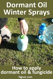 Neem oil mixture is best sprayed on your fruit trees in the evening or very early in the morning. Dormant Oil Sprays On Fruit Trees With Photos Videos Fignut