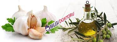 Sac Icin Sarimsak Ve Zeytinyagi Etkisi Bilgi Doktoru Hair Beauty Beauty Garlic