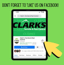 Some of the most common inquiries are answered below. Blog Clark S Termite Pest Control South Carolina