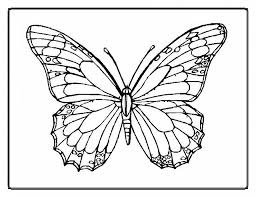 Farfalla Grandi Dimensioni Da Colorare Disegni Da Colorare E