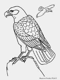 Maybe you would like to learn more about one of these? 20 Gambar Sketsa Wajah Polos