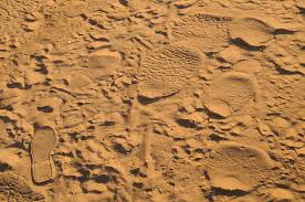 Mariah Grant Joins Farm Bureau Financial Services in Eagan, MN