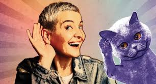 12 Ways to Increase Your Luck in the Sign Business