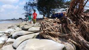Pantai ujung pandaran termasuk jenis pantai yang landai. Kian Parah Abrasi Kikis Pantai Ujung Pandaran Radar Sampit