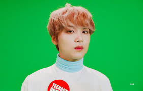 拡散希望 nct ヘチャン こんにちは。 카라멜리셔스(@caramelicious_)様のdynamite. Dn7gsrhjiicecm