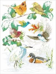 Birds Of A Feather Cross Stitch Chart Kooler And 50 Similar