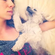 Grandma's Cat Dies In Her Arms. 4 Hours Later? This Is Incredible...