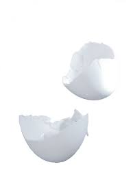 Chalky Egg Shell Google Search Egg Shells Meeting New People Png