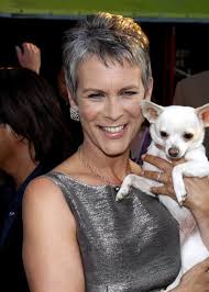 We did not find results for: How Jamie Lee Curtis Rocks The Magic Of Short Hair For Women Over 50 Sixty And Me
