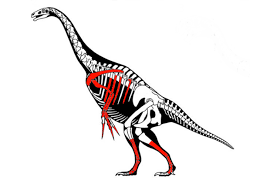 Therizinosaurus Cheloniformis Dinosaure