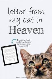 Letter From Heaven Message From Your Cat At Rainbow Bridge Cat Memorial Ideas Pet Loss Quotes Pet Grief