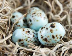 Bird Egg White With Brown Speckles Large Green Speckled Bird Egg Bead Handmade Lampwork Glass Etsy Handmade Lampwork Glass Handmade Lampwork Bead Bead Art