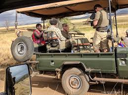 Image result for Adenia lewallei