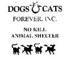 Carlton road runs between okeechobee road and the south end of the glades cutoff. Dogs Cats Forever Inc No Kill Animal Shelter Trademark Of Dogs Cats Forever Inc Serial Number 76666931 Trademarkia Trademarks