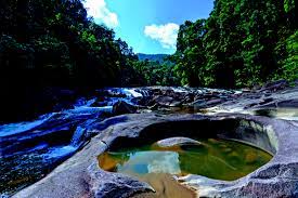 Its name is derived from the two rivers through the park; Endau Rompin Peta Johor National Parks