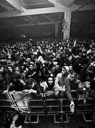Image result for shockraver