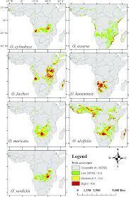 Image result for Ottelia cylindrica