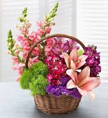 We did not find results for: Garden Basket Basket Flowers Mix In Dacula Ga Flower Jazz