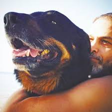 Addition of officer μαριοσ ιορδανουσ, secretary. Marios Iordanoy Den H8ela Na Ginw Giaoyrtaki Sto Rafi Toy Soyper Market