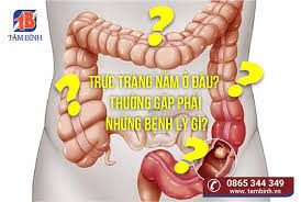 Trá»±c Trang Náº±m á»Ÿ Ä'au ThÆ°á»ng Gáº·p Pháº£i Nhá»¯ng Bá»‡nh Ly Gi 07 2019 Tam Binh