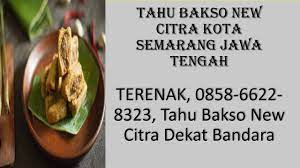 Halal 0858 6622 8323 Tahu Bakso New Citra Jakarta In 2021 Solo Semarang Tahu