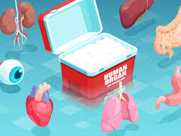 Image result for Transplantation