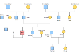Family genograms can be simple or astonishingly complex. Simple Genogram Examples And Templates Free To Download