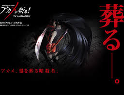 Pin On Akame Ga Kill