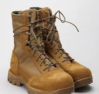 DANNER Rivot TFX 8" 51514-Coyote 400G