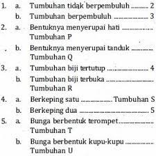 Kunci determinasi merupakan sebuah kunci yang biasanya dipakai untuk mengidentifikasikan makhluk hidup. Cermati Kunci Determinasi Tumbuhan Berikut Ber