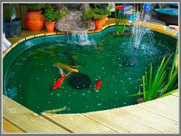 Dengan memiliki taman kecil di rumah, dapat membuat anda merasa lebih rileks dan nyaman. Membuat Kolam Ikan Koi Edupaint