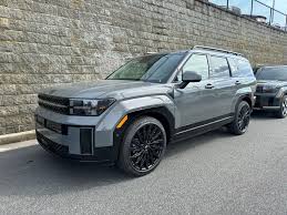 Image result for Hampton Gray 2024 Santa Cruz