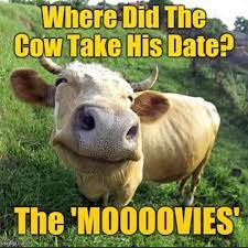 The Barn at Dream Field Farms - You know we love? cows and can't pass on a  good cow joke no matter how corny it is! Have an awesome Friday!!  #dreamfieldfarms #funnyfriday #