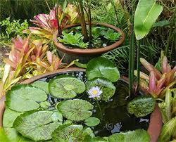 Quascapes is a top landscaping company in kenya that offers professional landscaping and gardening. Island Aquascapes Llc