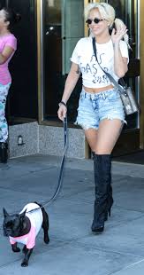 24), the hollywood reporter has confirmed. Lady Gaga And Ariana Grande S Adorable Pups Star In This Major Fashion Campaign Glamour