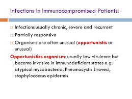 The evidence supporting this guidance is based on expert opinion and arrived at by consensus. Infections In The Immunocompromised Host Ppt Download