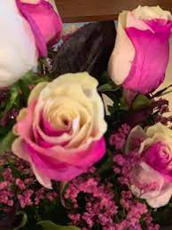 We did not find results for: We Have These Beautiful Roses Flowers Of The Good Earth Facebook