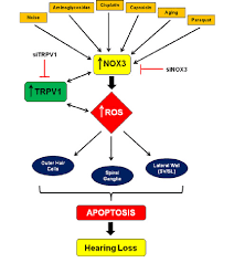 flow chart showing various potentially harmful drugs agents