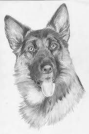 Kleuren op nummer dieren soort 55 mooi kleurplaten dieren moeilijk. Dieren Hond Tekeningen Dieren Tekenen Dieren