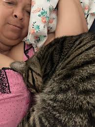 Princess Nibbles here wishing my brother would just shut up once in awhile.  He woke me up. So over his noise.