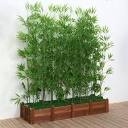 Amazon.com: 5 6 8 10 12 14 16 20 24 PCS Bamboo Silk Trees, Green ...