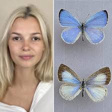 Let's welcome our new members! Jamie M Cormier, Jill Sachs, Alexandria Coko  Mason, Stephanie Lynn, Ana Nava, Jessica Mitchell, James Farmer II, Ashley  Lyn, Connie Yocum, Fred Corona Flowers, Lorena Maldonado, Sheree