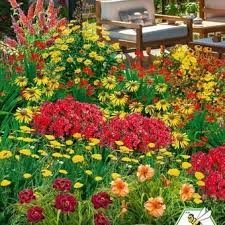 So Gestalten Sie Insektenfreundliche Beete In 2020 Pflanzideen Pflanzen Gartengestaltung