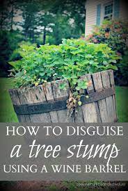 Initially, people are happy just to see the tree go, but soon the stump becomes an eyesore. What A Great Idea For Covering The Stump In Out Yard Tree Stump Decor Tree Stump Planter Tree Stump