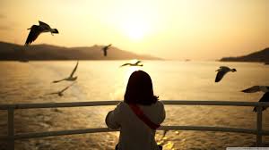 22 frasi sull'amore per capire e parlare di questo sentimento misterioso e potente, quasi indefinibile. Le 30 Frasi Importanti Sulla Vita Aforismi Citazioni E Pensieri