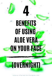5 Benefits Of Using Aloe Vera On Your Face Overnight Aloe Vera For Face Aloe Vera For Skin Aloe On Face