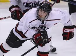 Find nick leddy stats, teams, height, weight, position: Always Making Strides