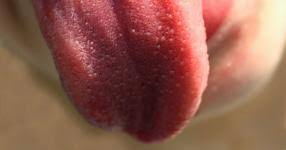 Ruyada Isirmak Gormek Diyadinnet